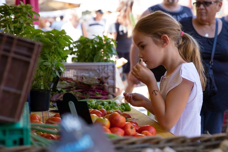 marche provencale