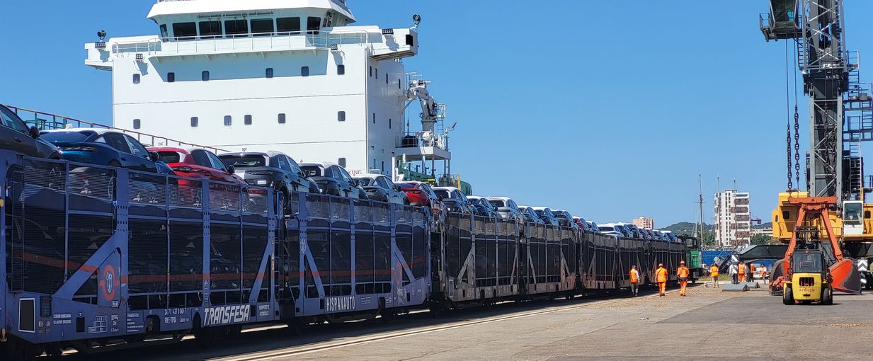 Vue d'un train transportant des véhicules au terminal de Bregaillon