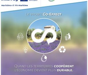 Projet CO-EFFECT